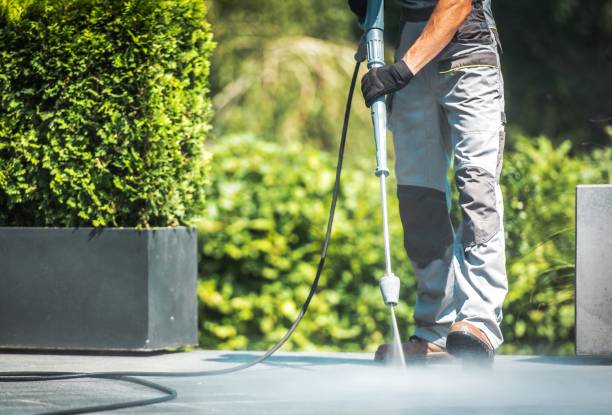 Best Fence Cleaning  in East Peoria, IL